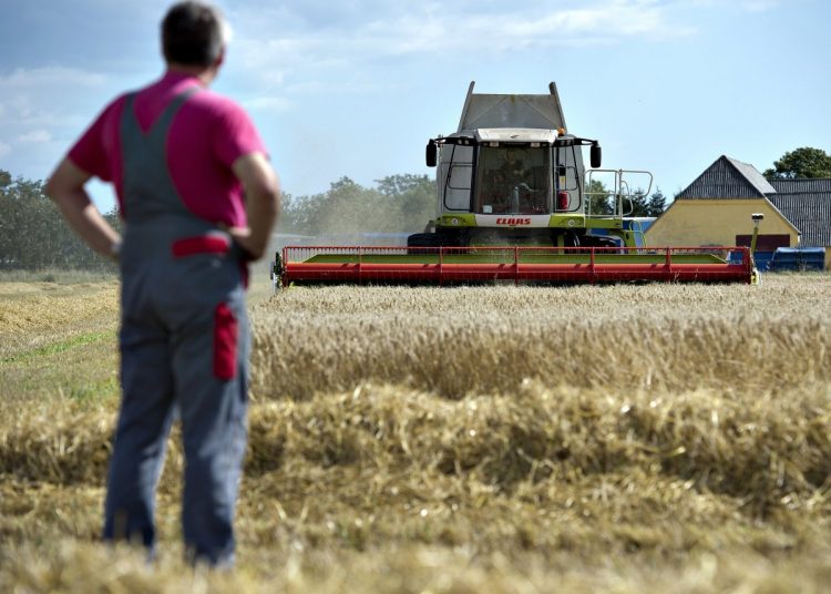 Έρχονται τα ΙΕΚ για αγρότες