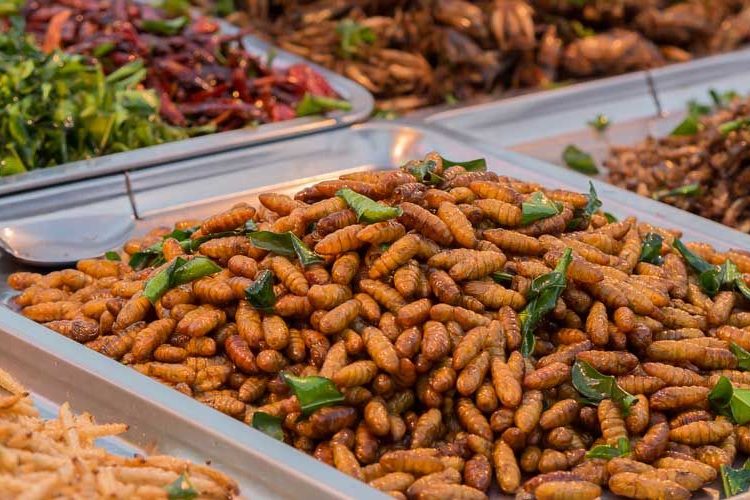 Η Ευρωπαϊκή Ένωση δίνει το “οκ” σε ένα έντομο ως τροφή