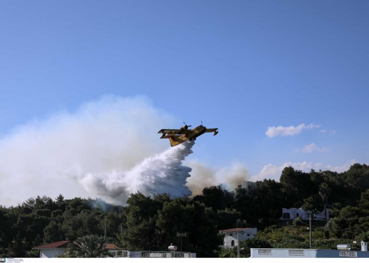 Φωτιά στα Μέγαρα: Συνεχίζεται η μάχη με τις φλόγες – «Δεν ξεκίνησε από αμέλεια η πυρκαγιά»
