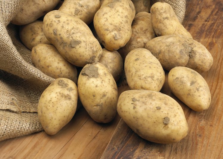 Χαμηλή ζήτηση και μειωμένη ροή εξαγωγών στην πατάτα της Ηλείας