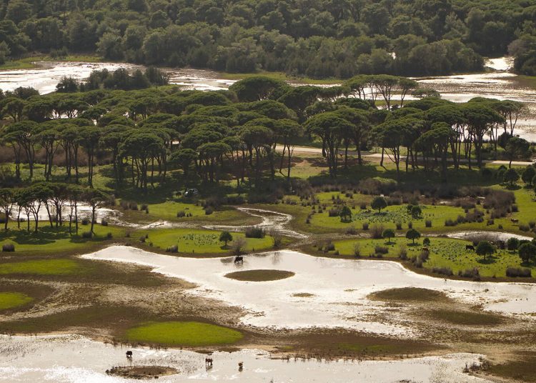 Η παραλία που ορκίζεσαι πως είναι στην Αφρική, κι όμως βρίσκεται στην Πελοπόννησο!