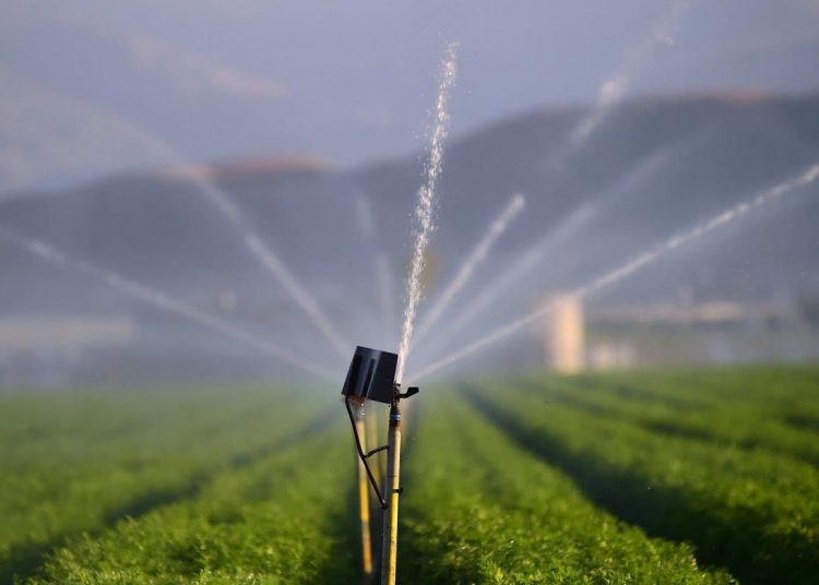Έρευνα διαΝΕΟσις: Οι ΤΟΕΒ, Οι ΓΟΕΒ και τα έργα Άρδευσης στην Ελλάδα – Το αρνητικό παράδειγμα της Ηλείας
