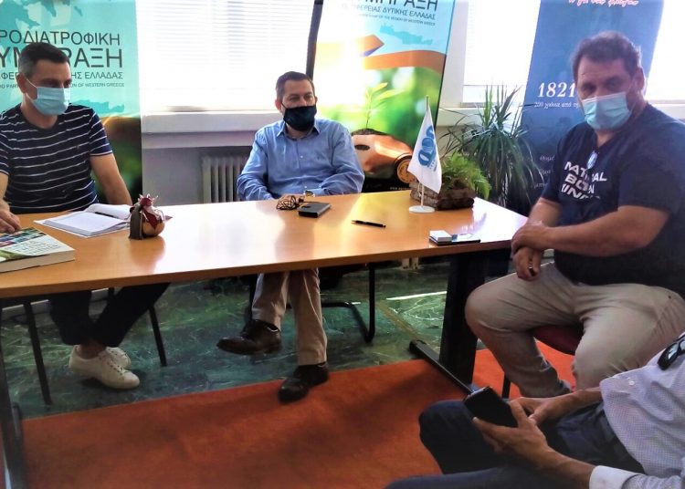 Ζαχάρω: Πρόγραμμα δακοκτονίας και αρδευτικά έργα συζητήθηκαν μεταξύ Βασιλόπουλου- Τάγαρη