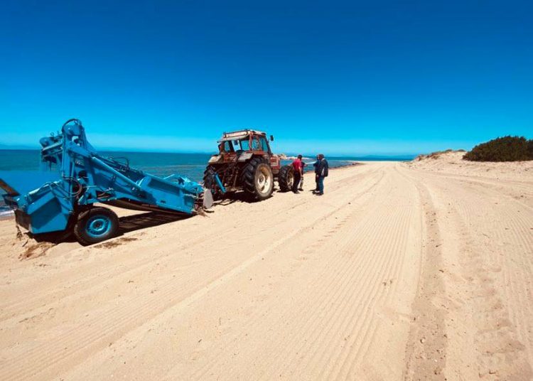 Καθαρισμός Παραλιών από τον Δήμο Ανδραβίδας-Κυλλήνης