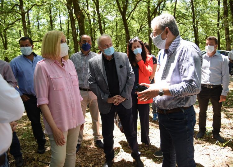 Η Φώφη Γεννηματά στη Φολόη