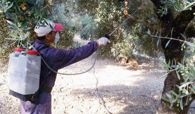 Πρόγραμμα Δακοκτονίας 2021- Ξεκινούν οι ψεκασμοί