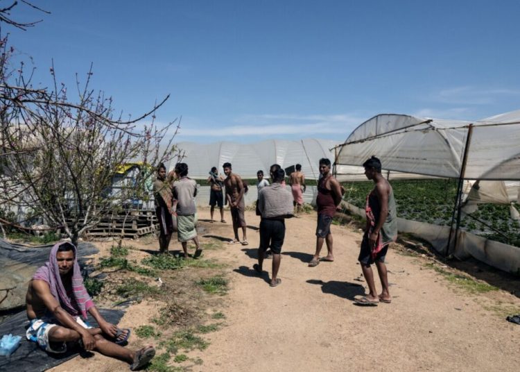 Η ντροπή της Μανωλάδας: Εξαθλίωση και ο φόβος της σύλληψης