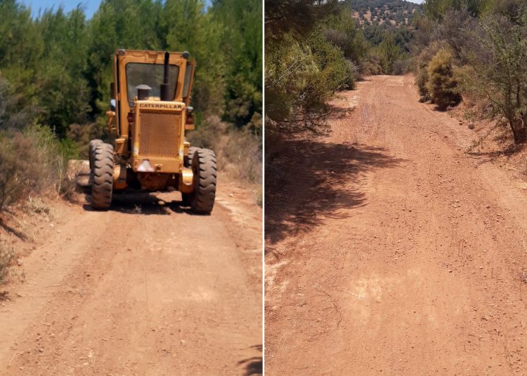 Ξεκίνησαν τα έργα αντιπυρικής προστασίας του Δήμου Αρχαίας Ολυμπίας