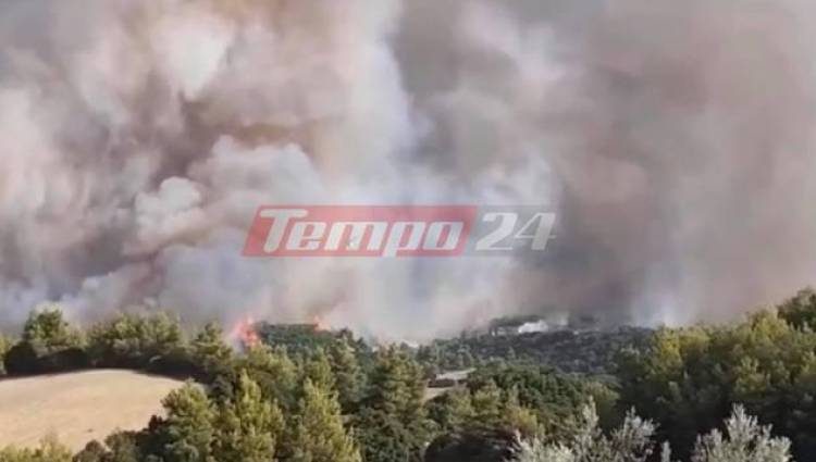 Πύρινος εφιάλτης στην Αχαΐα: Ποιοι ήθελαν να κάψουν τον Ερύμανθο; Καταγγελία του Δημάρχου για εμπρησμό