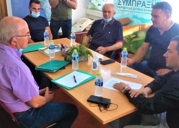 Πύργος: Σχεδιασμός για λειτουργία Βιολογικής Αγοράς σε χώρο του θεματικού πάρκου Ξυστρή