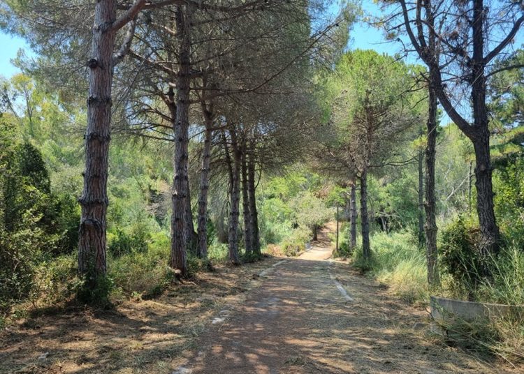 Ανάπλαση και καθαρισμός του περιβάλλοντα χώρου, των Ιαματικών Λουτρών Κυλλήνης