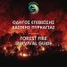 Οδηγός Επιβίωσης Δασικής Πυρκαγιάς-Τι πρέπει να κάνετε