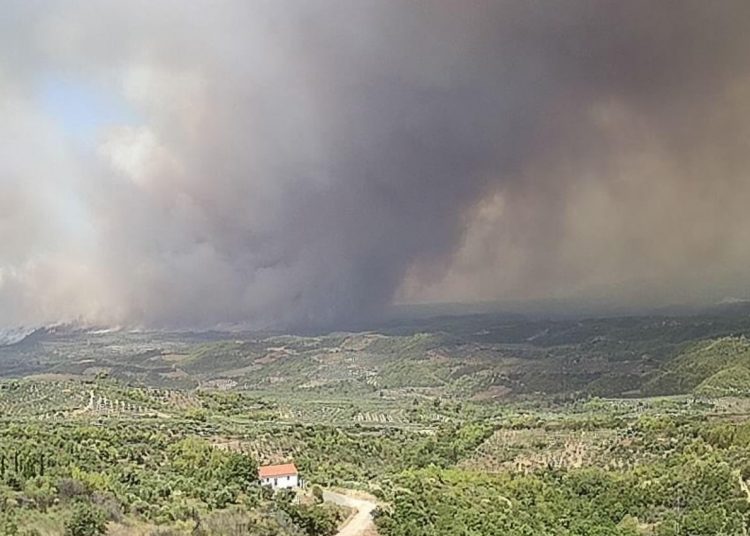 Μεγάλη αναζωπύρωση στα όρια Ηλείας – Αρκαδίας