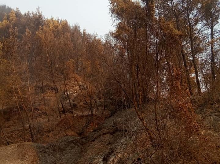 Καταρράκτες Νεμούτας: Αποκαΐδια ο μυθικός προορισμός