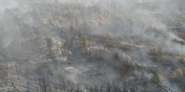 Κηρύχθηκαν σε κατάσταση Έκτακτης Ανάγκης οι Δ.Ε. Αρχ. Ολυμπίας και Φολόης