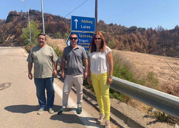 Οικολόγοι ΠΡΑΣΙΝΟΙ: Ας δοθεί επιτέλους έμφαση στην πρόληψη των πυρκαγιών!