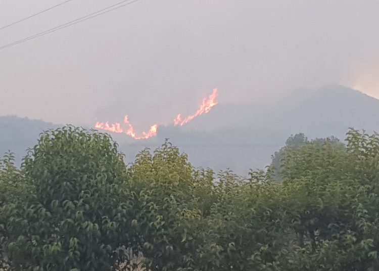 ΑΡΧΑΙΑ ΟΛΥΜΠΙΑ: Επιστολή αναγνώστη μας για το πρόβλημα πρόσβασης μέσων δασοπυρόσβεσης