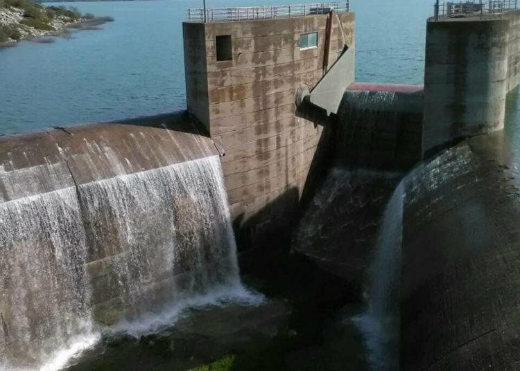 Καιάδας ανεπιθύμητων σκύλων το φράγμα Πηνειού