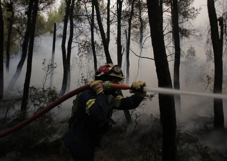 Αποστολές ανθρωπιστικής βοήθειας στους πληγέντες της Ηλείας