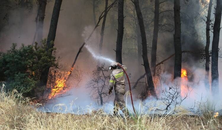 Ηλεία: Σε ύφεση τα μέτωπα φωτιάς-Ήρθαν Τσέχοι πυροσβέστες να βοηθήσουν