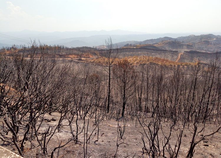 Αρχαία Ολυμπία: Συνεχίζονται οι συναντήσεις του Δήμαρχου με κατοίκους στις πυρόπληκτες περιοχές