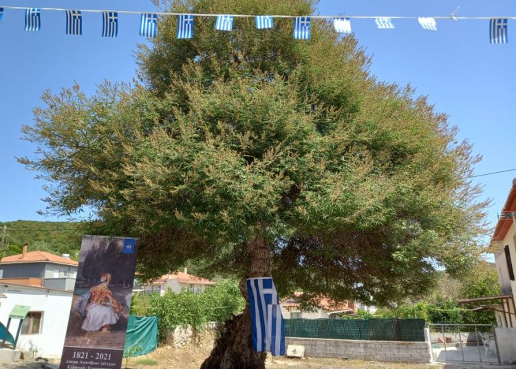 Πρώτη επετειακή εκδήλωση σήμανσης Δέντρων Ελευθερίας Πελοποννήσου