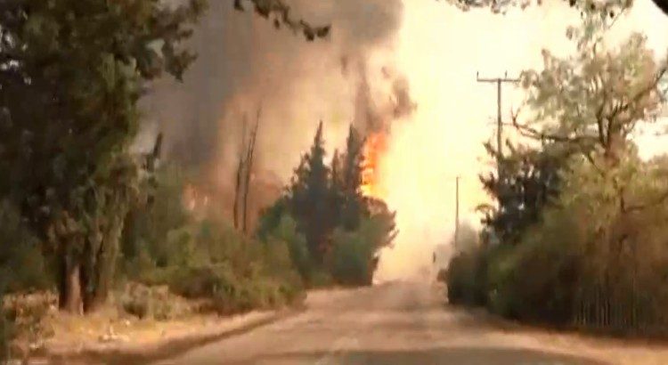 Ηλεία: Εκκενώνονται Αρχαία Ολυμπία, Πελόπιο, Πλάτανος, Μάγειρα, Κοσκινά, Κλαδέος, Καυκανιά και Χελιδόνι (φωτο)