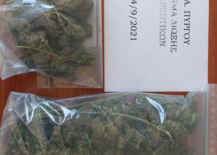 Συνελήφθη άνδρας στην Ολυμπία για καλλιέργεια και κατοχή ναρκωτικών