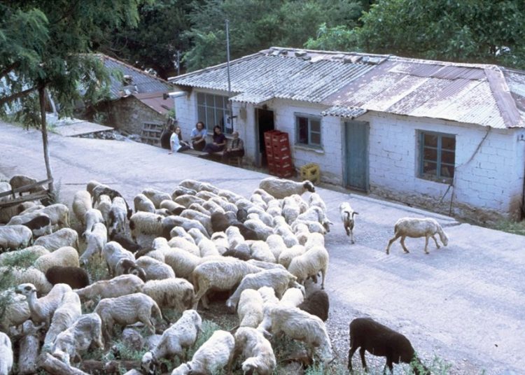 Τρέχουν οι αιτήσεις για ενίσχυση έως 600 ευρώ σε ορεινές περιοχές