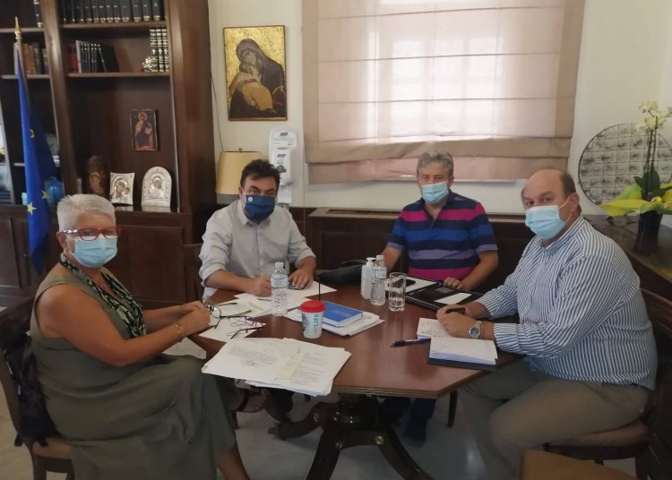 Ξεκινούν οι παρεμβάσεις στα δέντρα του Επαρχείου