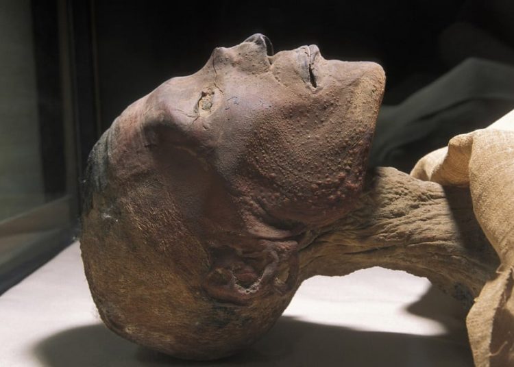 Πανδημίες: Μια αληθινή ιστορία που ίσως σας κάνει να δείτε το σήμερα με άλλο μάτι