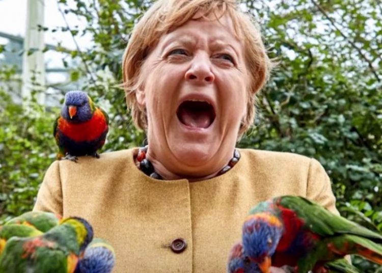 Ενθουσιασμένος παπαγάλος αποχαιρέτησε τη Μέρκελ με ένα δάγκωμα (βίντεο)