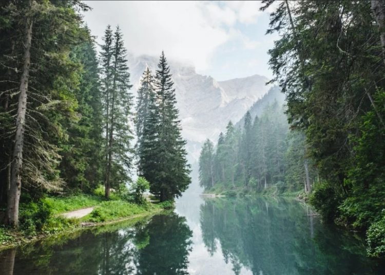 Θυμίζει Ζαγοροχώρια αλλά… βρίσκεται στην Πελοπόννησο! Το χωριουδάκι που κερδίζει τον τίτλο του απόλυτου φθινοπωρινού προορισμού