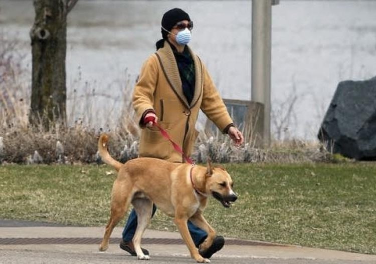 Πόσα κατοικίδια επιτρέπονται σε κάθε σπίτι – Νέος νόμος