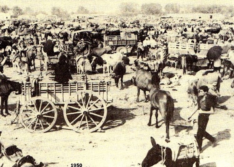 Ωλένη: Πολιτισμικές εκδηλώσεις στο Βάραγκα με στόχο την ανάδειξη όλης της ιστορικής κληρονομιάς της περιοχής.