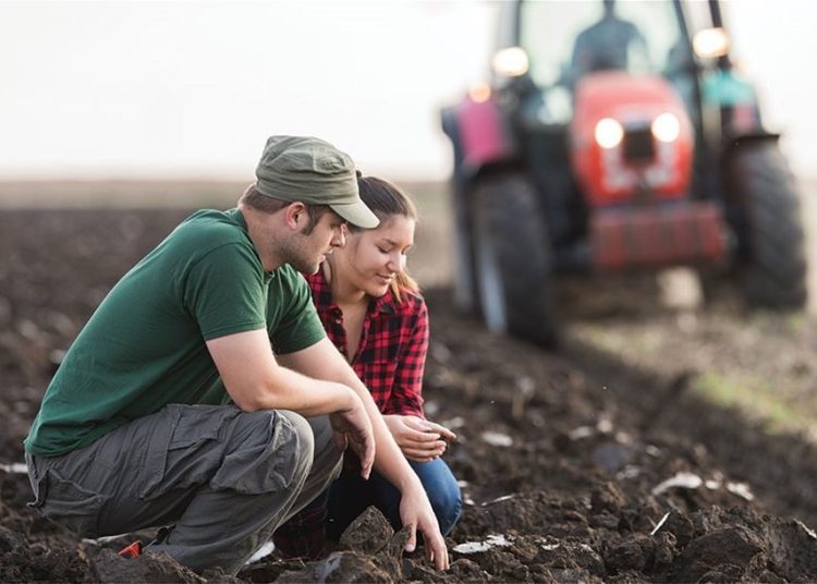 Από 10 με 15 Νοέμβρη και για ένα μήνα χωρίς παράταση ανοιχτές οι αιτήσεις στο πρόγραμμα των Νέων Αγροτών