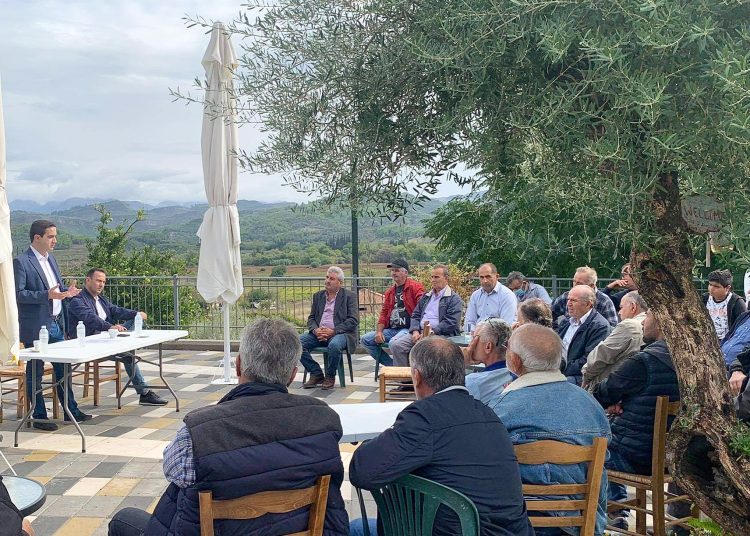 Μιχάλης Κατρίνης: Άμεση η ανάγκη για στήριξη των σταφιδοπαραγωγών