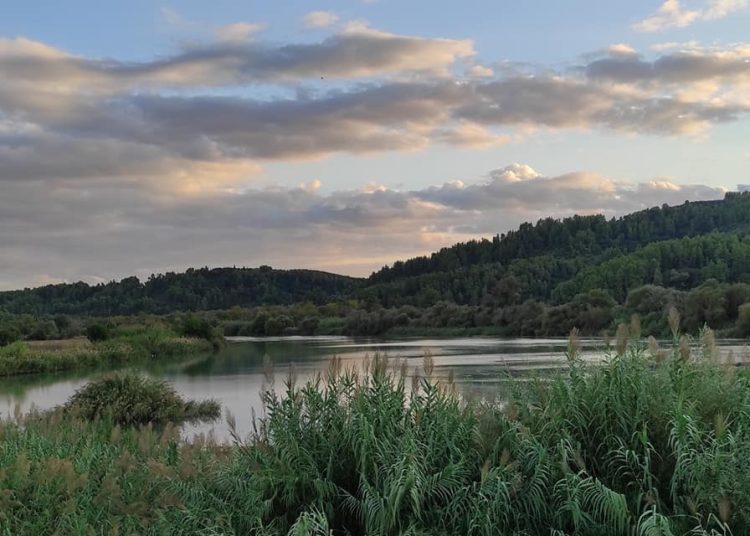 Πρόταση βόλτας: Φράγμα Αλφειού στο Φλόκα