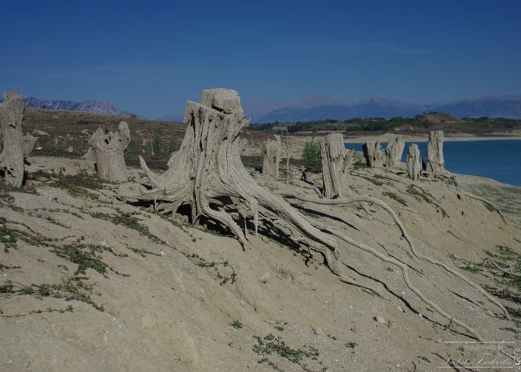 Η ξηρασία απειλεί τον Ηλειακό κάμπο