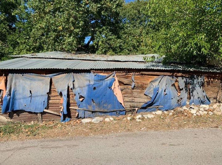 Άρχοντες της παράγκας…