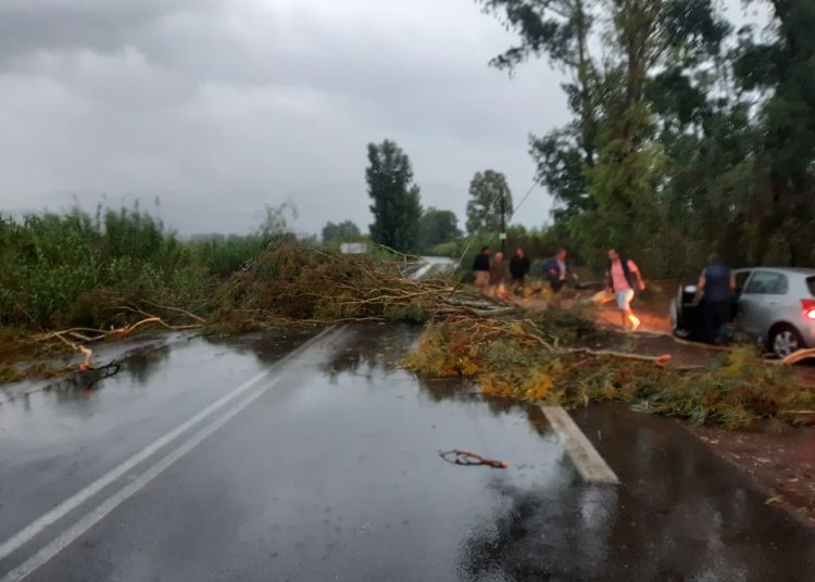 Με κορμούς και κλαδιά γέμισε η εθνική Τσακώνας – Καλού Νερού