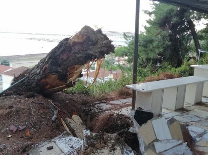 Κατάκολο: Η κακοκαιρία έριξε πεύκο στο νεκροταφείο