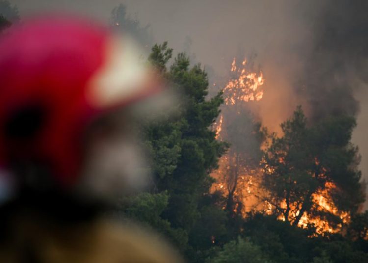 Δήμος Πύργου: Ξεκίνησε η διανομή επιταγών για τρόφιμα στα πυρόπληκτα χωριά