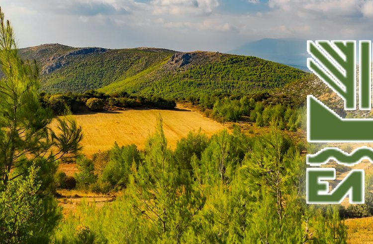 Πληρώνει ο ΕΛΓΑ στις 3 και 23 Δεκεμβρίου αποζημιώσεις για πορίσματα παγετού