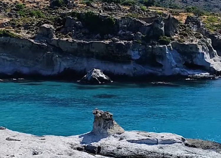 Το μοναδικό απολιθωμένο φοινικόδασος της Ευρώπης με ηλικία 3.000.000 ετών βρίσκεται στην Πελοπόννησο