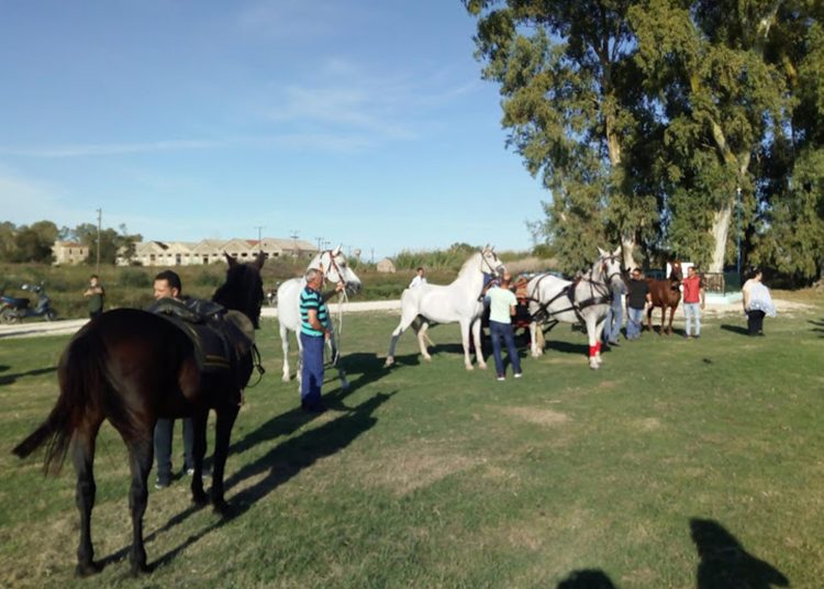 Γαστούνη: Ίδρυση Ιππικού Ομίλου