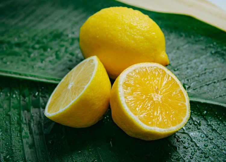 Λεμόνια: Από 50 μέχρι 80 λεπτά η τιμή, καλές ποιότητες αναδεικνύουν το ελληνικό προϊόν