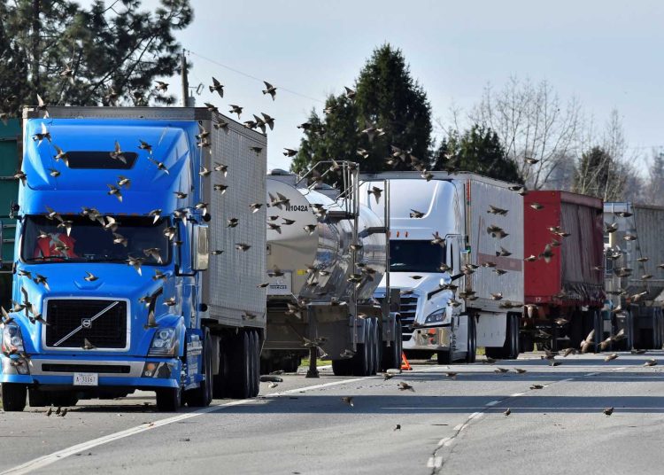 Άρχισε να «βρέχει» λεφτά στην Καλιφόρνια – Σάκοι με χαρτονομίσματα έπεσαν από φορτηγό