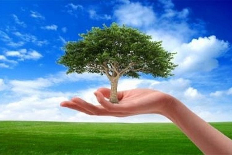 Από την 1η Γενάρη εισφορά… προστασίας του περιβάλλοντος-Nέο χαράτσι