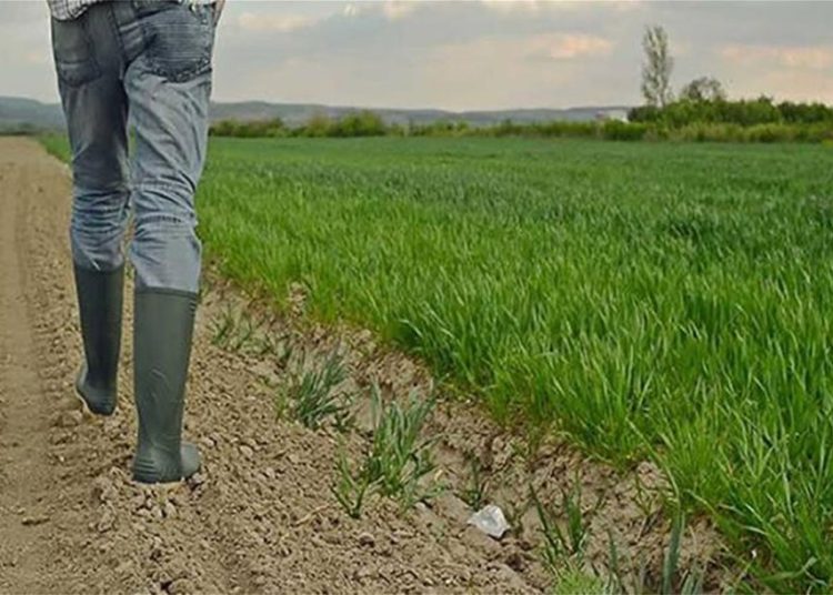 Tσουχτερά πρόστιμα για αγρότες που δεν μπήκαν στο κανονικό καθεστώς φορολογίας